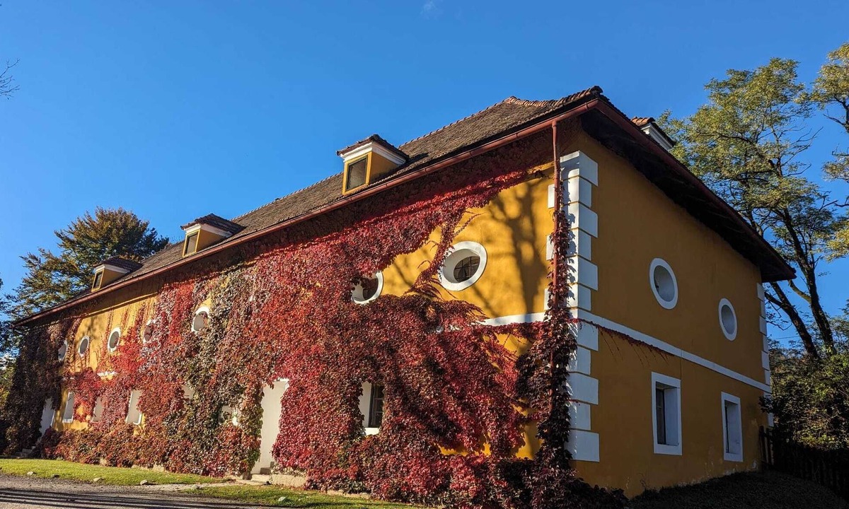 Timenitz Apartment | Enjoy with all senses - find silence and relaxation