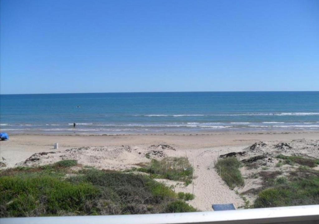 South Padre Island House | La Internacional Condos O301