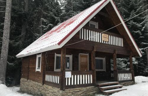 Borovets Ski Chalet | Chalet Sofia