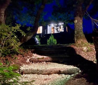 Ambrolauri House | Punta Racha