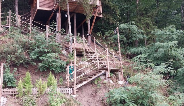 Ağacevkilat in Trabzon