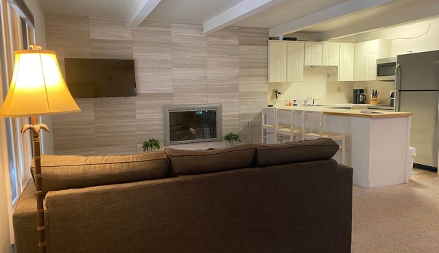 Amazing setting - 2 blocks to Aspen Gondola, 1 BR, Amazing Core location - 1 BR in Aspen