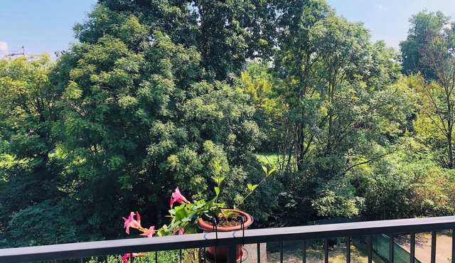 Casa Nonna Elide 2 is a whole apartment of 43 sq. m. in Besozzo