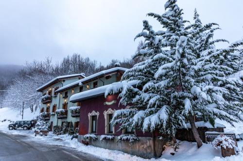 Chalet BRAGARD-Boutique Chalet & SPA in Limone Piemonte