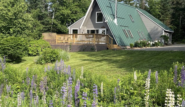 Cozy Chalet near Saddleback Mountain & Downtown Rangeley in Dallas Plantation
