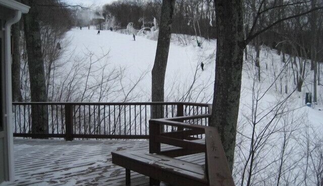 COZY SKI COTTAGE-SKI IN SKI OUT in Roseland