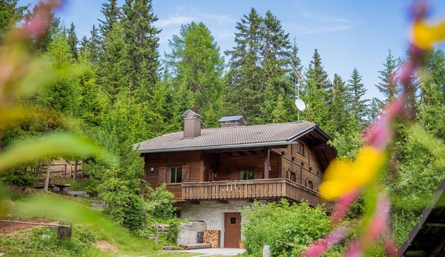 cozy Ski Lodge directly on the slopes of Kronplatz in Olang