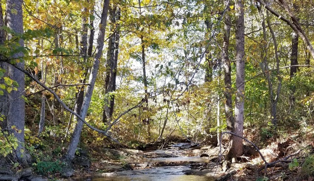 Creekside Stargazer Tent Farmstay in Woolwine