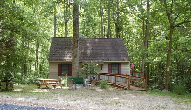Deer Run - Mountain Getaway in Montebello