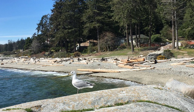 Fun Suite between two waters in Sechelt