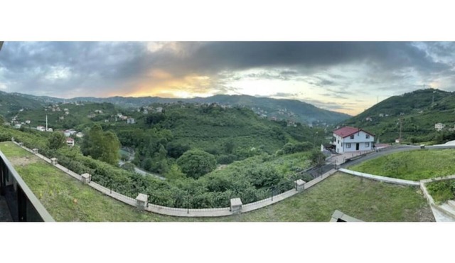 Greenplain Smurf in Trabzon