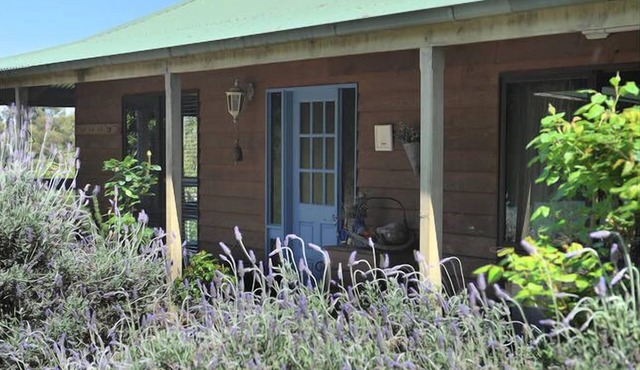 Lavender Farm Yarra Valley in Badger Creek