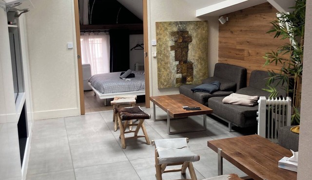 LE COCON DE NOTRE DAME "LOFT" apartment 140M2 in Annecy