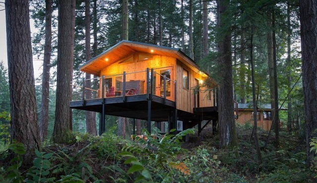 Majestic Treetop Getaway with Private Firepit in Stevenson
