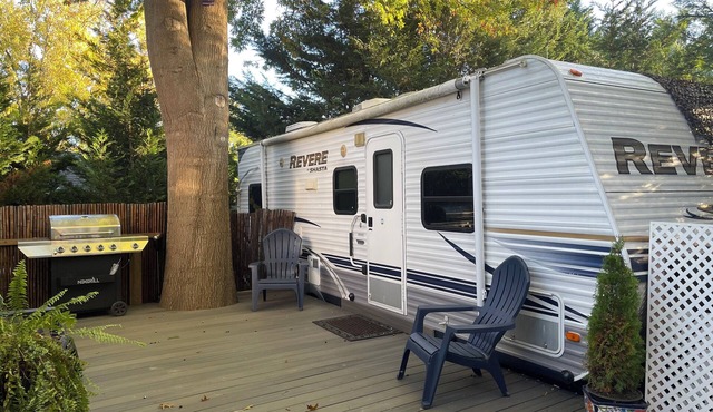 Nature's Haven Tiny Home in Bear