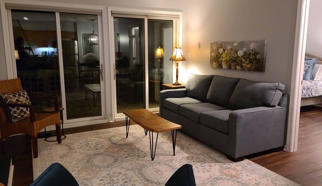 New construction! 1 BD/2 BA Top of Wintergreen mountain. Sleeps 4, pet-friendly in Roseland