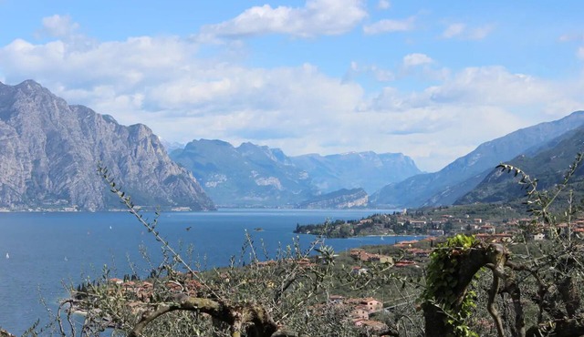 Nice apartment with courtyard and garden in Brenzone sul Garda