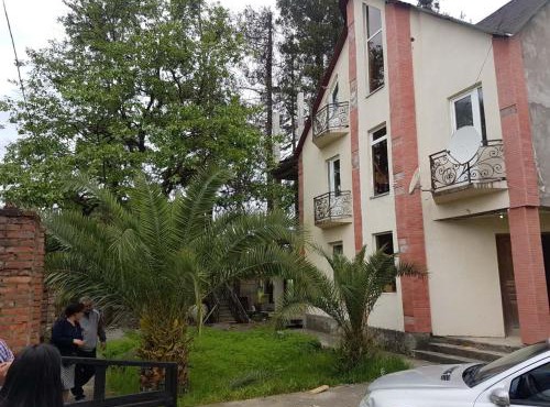 Palm trees in Ureki