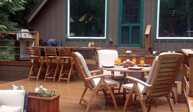 -Peaceful Eclectic Cabin, WiFi, Hot tub,pets welcome in Rhododendron