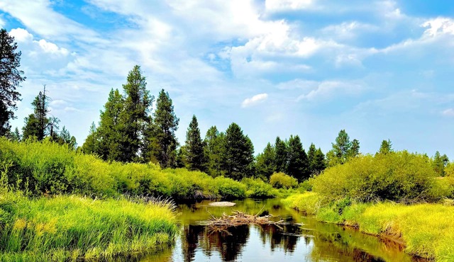Relaxing 1 bedroom, Sunriver Beaver Hut bordering the little Deschutes river! in Bend