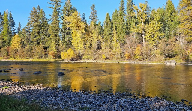 Riverfront Cottage Peaceful, Natural Setting in Bigfork