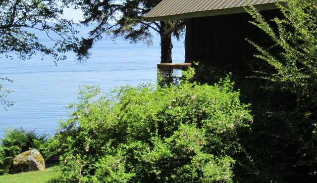 Saltwater Frontage - Spectacular Views - Secluded, quiet, and peaceful in Sekiu
