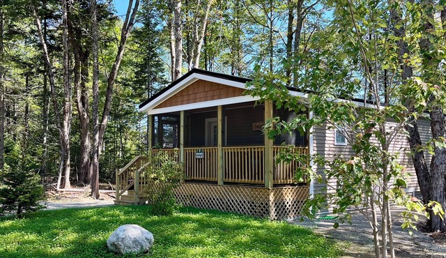 Swans Chalet -Tranquil forest cottage near Acadia! in Mount Desert