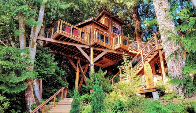 The Owl’s Perch Treehouse ~ Luxury Treetop Escape in Sooke