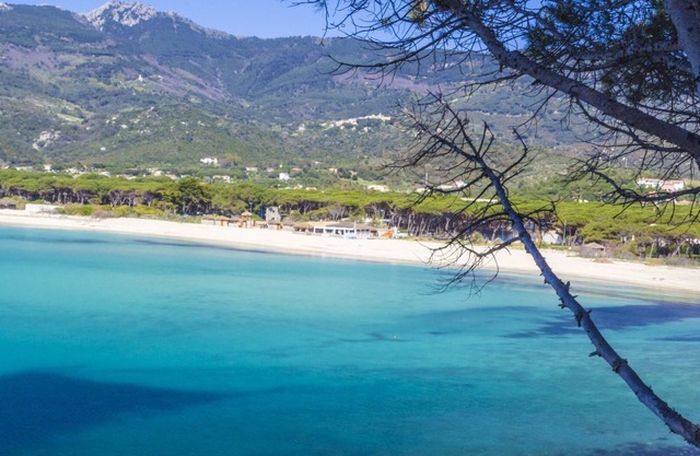 The Beach 