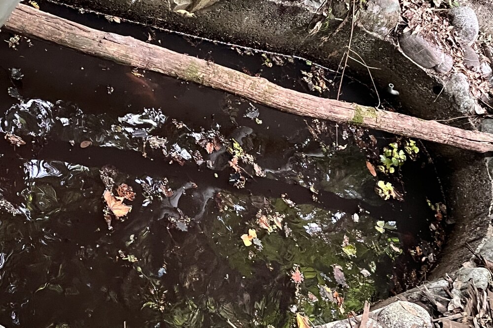 Photo of Outdoor in Nagawa-machi