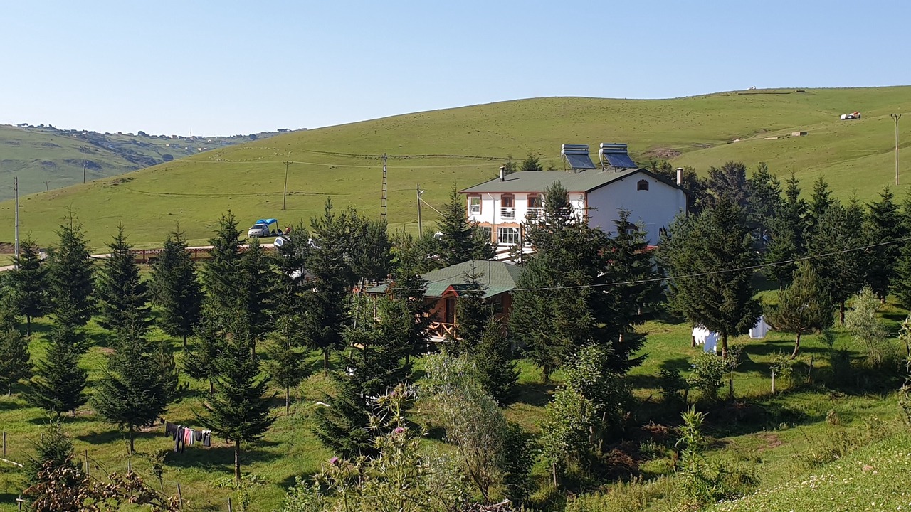 Photo of Outdoor in Aybastı