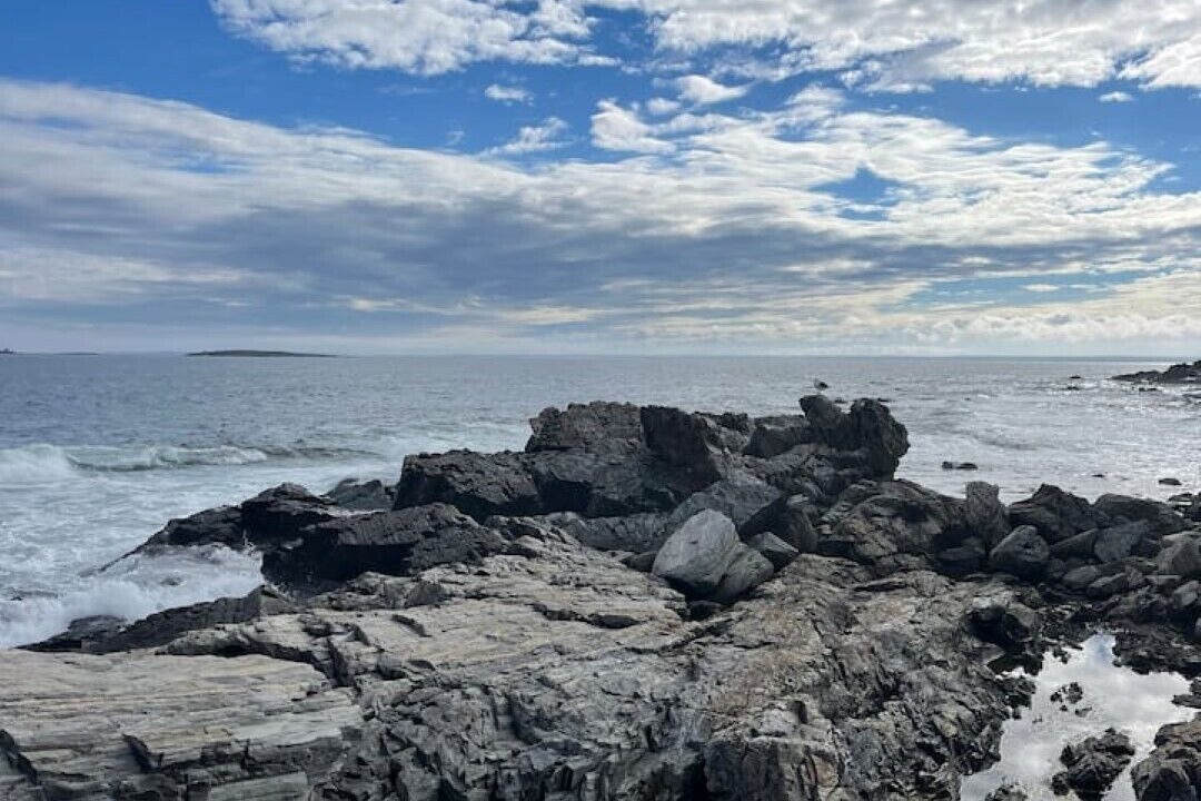 Photo of Others in Scarborough