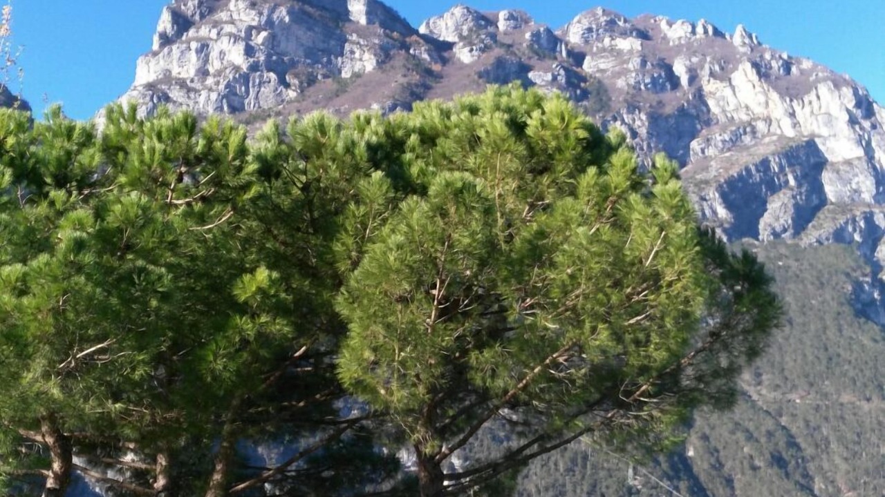 Photo of Others in Riva del Garda