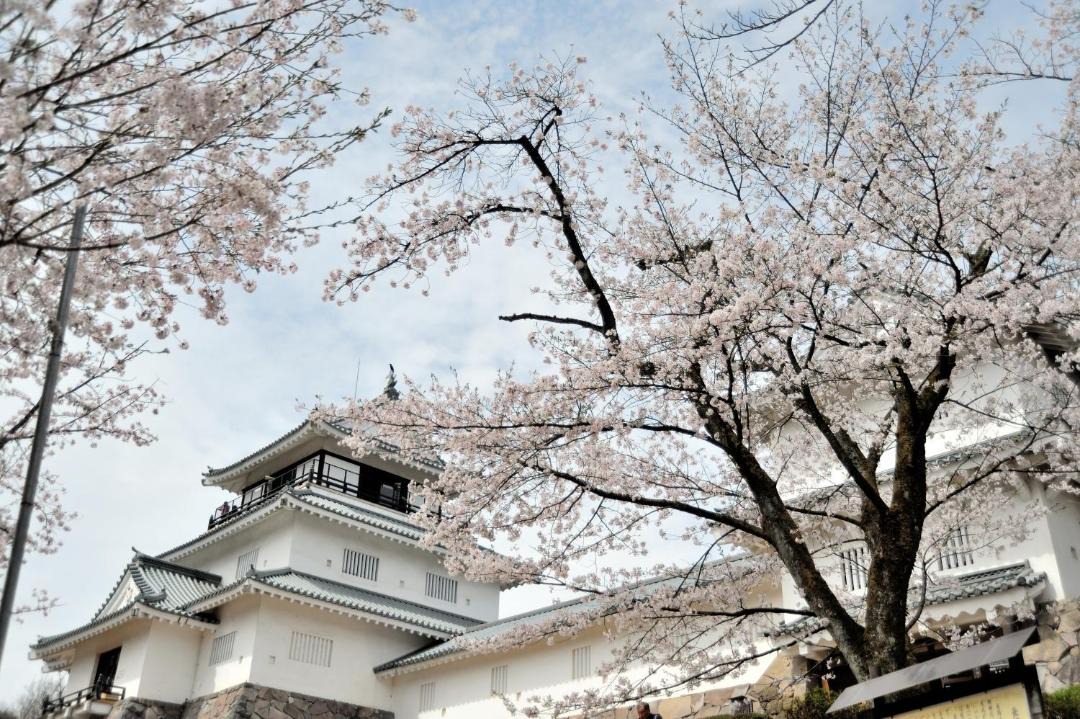 Photo of Others in Nagaoka