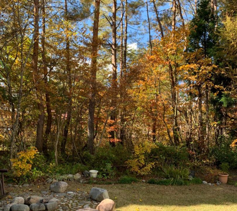 Photo of Others in Hakuba