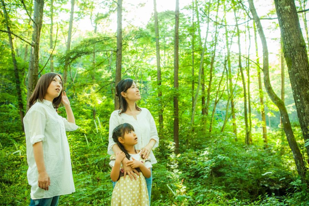 Photo of Others in Nagano